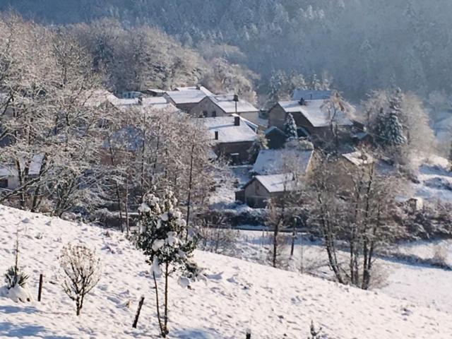 Villa Cora Venez Neuve Avec Spa Saint-Bresson Экстерьер фото
