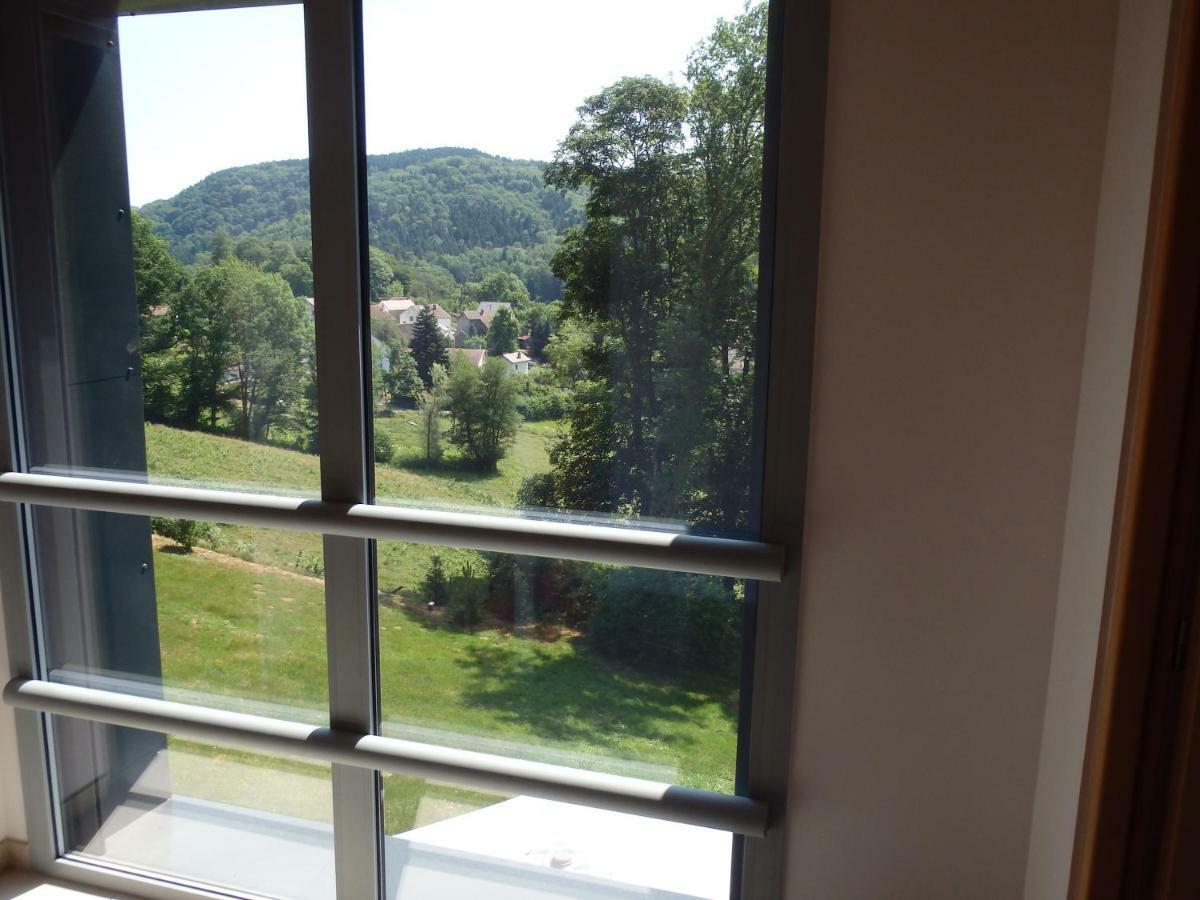 Villa Cora Venez Neuve Avec Spa Saint-Bresson Экстерьер фото