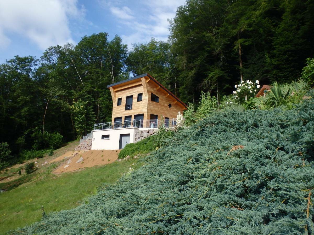 Villa Cora Venez Neuve Avec Spa Saint-Bresson Экстерьер фото